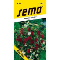 Jahodník ´RUJANA´, bal. 0,2 g