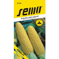 Kukuřice setá ´ADIKA´ / AVICENA F1 nahr., bal. 5 g