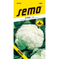 Květák ´BORA´, bal. 0,5 g