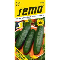 Okurka salátová MARLEN F1, pro pole i fóliov., , bal. 1,5 g