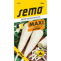 Petržel zahradní ´ATIKA´ MAXI, bal. 3,0 g