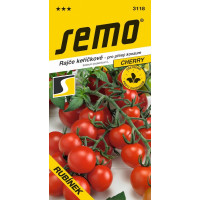 Rajče keříčkové cherry RUBÍNEK, bal. 50 s.
