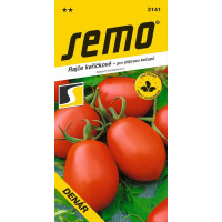 Rajče keříčkové ´DENÁR´, bal. 1 g