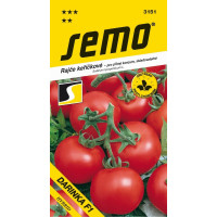 Rajče keříčkové ´DARINKA F1´, bal. 50 s.