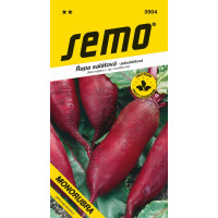 Řepa salátová MONORUBRA, bal. 2 g