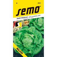 Salát hlávkový ´MAJOR´, bal. 0,3 g