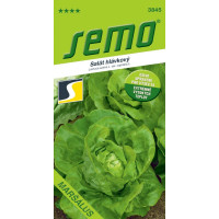 Salát hlávkový ´MARŠÁLUS´, bal. 0,5 g