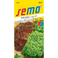 Salát listový ´SMĚS LOLO ´, bal. 0,6 g