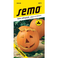 Tykev ´GRAN GIGANTE´, bal. 2 g