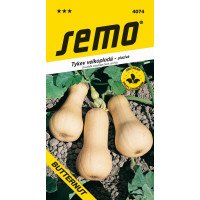 Tykev ´LISCIA (typ BUTTERNUT)´, bal. 2 g