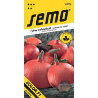 Tykev SOLOR F1 oranžová, typ Hokkaido, bal. 8 s.