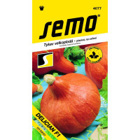 Tykev DELICIAN F1 typ Hokkaido, bal. 5 s.