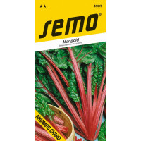 Mangold zelený listový s červenou stopkou RHUBARB CHARD, bal. 3 g