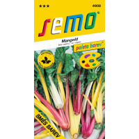 Mangold ´MIXTURE COLOUR´, bal. 3 g