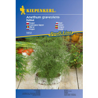 Kopr Delikat, bal. na ca. 200 r.