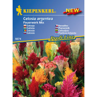 Celosia Ohňostroj Mix / Nevadlec, bal. stačí pro 50 rostlin