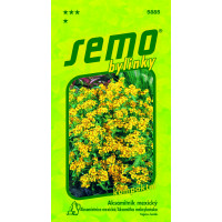 Tagetes lucida Cav. / Aksamitník mexický, 0,5 g