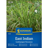 Cymbopogon flexuosus / Citronová tráva East Indian, bal. stačí pro 50 rostlin