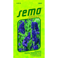 Lavandula officinalis ´Munstead Blue´ / Levandule lékařská, bal. 0,4 g