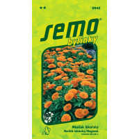 Calendula officinalis ´PLAMEN PLUS´ / Měsíček lékařský, bal. 1 g