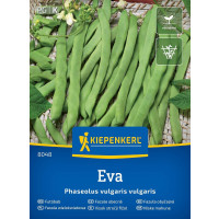 Fazol popínavý Eva, bal. na 6-8 tyčí