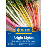 Mangold Bright Lights, bal. na 30 r.