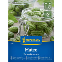 Mexická okurka Mateo, bal. 2 g