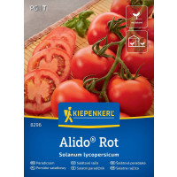 Rajče Bocati, bal. na 7 r. 