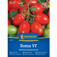 Rajče Roma, bal. 18 sem.