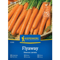 Mrkev Flyaway, bal. na 4 m