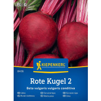 Červená řepa Rote Kugel 2, bal. 100 sem.