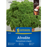 Petržel kučeravý Afrodite, bal. 5 výs. kotoučů s prům. 8 cm