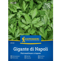 Petržel hladký Gigante d´Italia, bal. stačí pro 400 rostlin