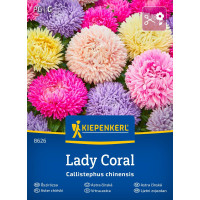 Callistephus ´Lady Coral Mix´/ Astra mix, bal. na 10 g