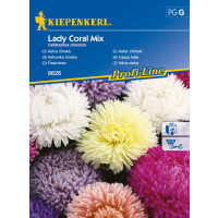 Callistephus ´Lady Coral Mix´/ Astra mix, bal. na 10 g
