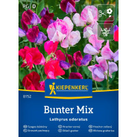 Lathyrus latifolius Mix, bal. na 25 r.
