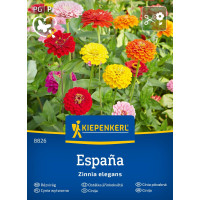 Zinnia Espana Mix / Ostálka, bal. stačí pro 40 rostlin