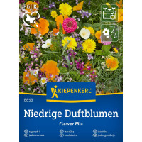 Vonící květiny do skalky směs, bal. na 2-4 m2