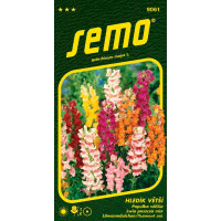 Antirrhinum majus / Hledík větší ´MAXIMUM´, bal. 0,5 g