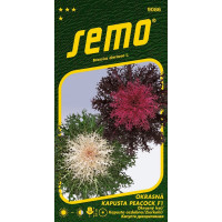 Brassica oleracea / Kapusta okrasná ´PEACOCK F1 MIX ´, bal. 20 s.