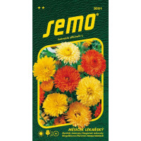 Calendula officinalis / Měsíček lékařský ´PACIFIC BEAUTY SMĚS´, bal. 1 g
