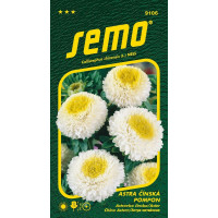 Callistephus chinensis ( L.) NEES / Astra čínská POMPON WHITE AND YELLOW, 0,5 g