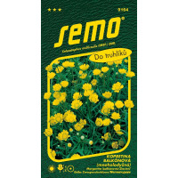 Chrysanthemum paludosum / Kopretina balkonová ´ZLATOVLÁSKA´, bal. 0,3 g