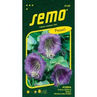 Cobaea scandens / Kobea ´BLUE BELL´, bal. 0,7 g