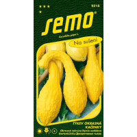 Cucurbita pepo / Tykev okrasná ´KAČENKY´, bal. 1,5 g