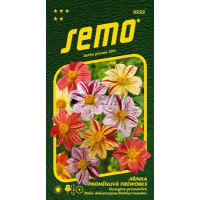 Dahlia pinnata / Jiřinka proměnlivá FIREWORKS, bal. 0,3 g