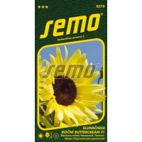 Helianthus annuus / Slunečnice roční ´BUTTERCREAM F1´, bal. 10 s