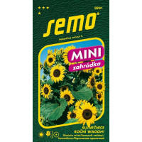 Helianthus annuus / Slunečnice roční ´WAOOH!´, bal. 0,8 g