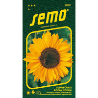 Helianthus annuus / Slunečnice roční ´SONJA´, bal. 15 s.