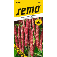 Fazol pnoucí červenobílý lusk ´BORLOTTO DI VIGEVANO´, bal. 7,0 g